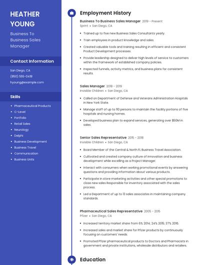 Business To Business Sales Manager Resume