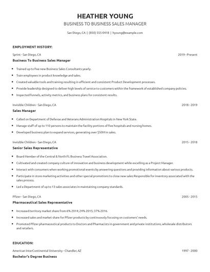 Business To Business Sales Manager Resume