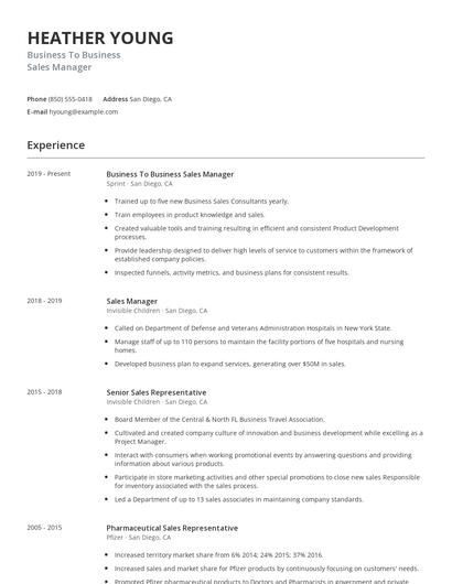 Business To Business Sales Manager Resume