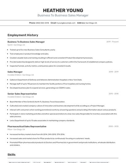 Business To Business Sales Manager Resume
