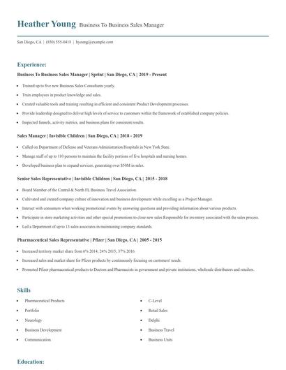 Business To Business Sales Manager Resume