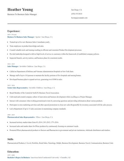 Business To Business Sales Manager Resume