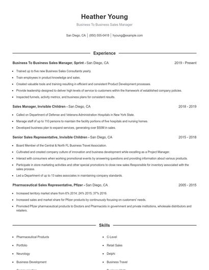 Business To Business Sales Manager Resume