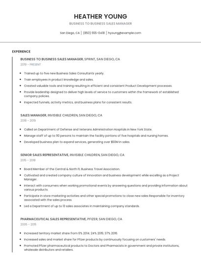 Business To Business Sales Manager Resume