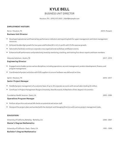 Business Unit Director Resume