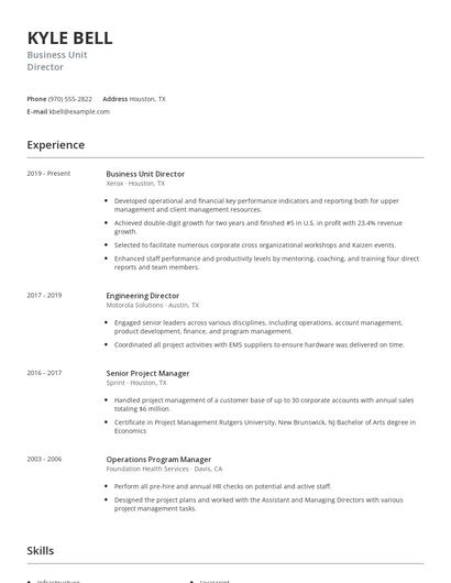 Business Unit Director Resume
