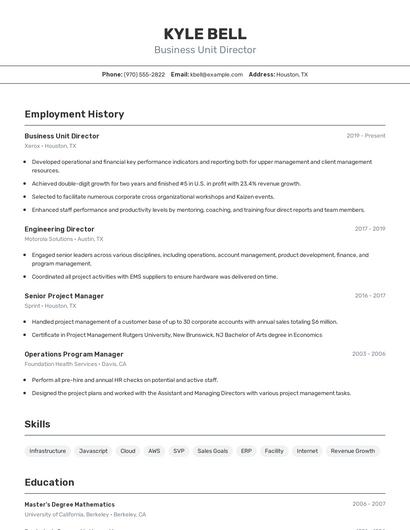 Business Unit Director Resume