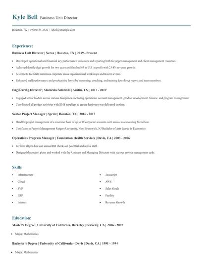 Business Unit Director Resume