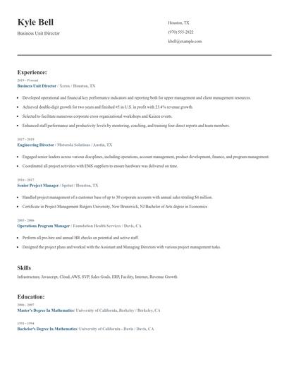 Business Unit Director Resume