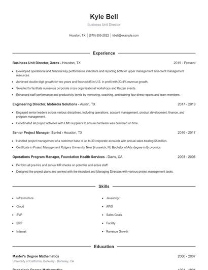 Business Unit Director Resume