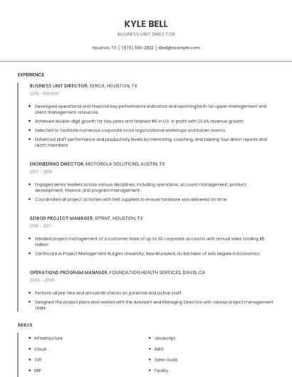 Business Unit Director Resume
