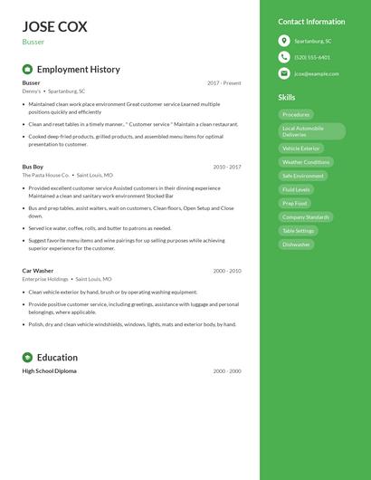 Resume example 5