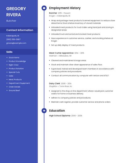 Resume example 5