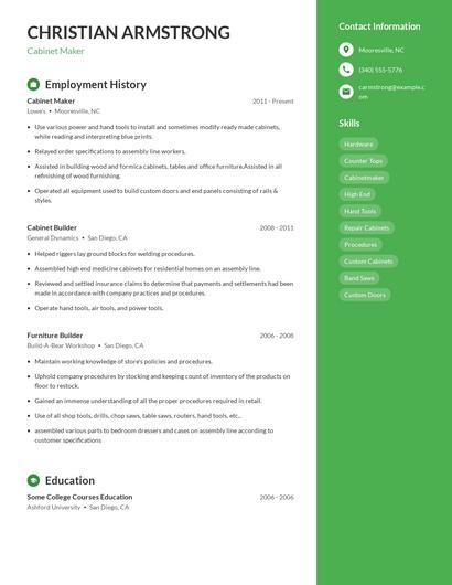 Resume example 5