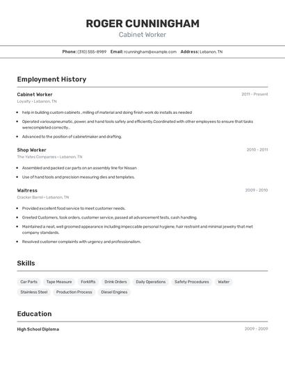 Cabinet Worker Resume