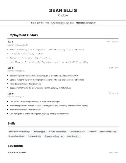 Resume example 2