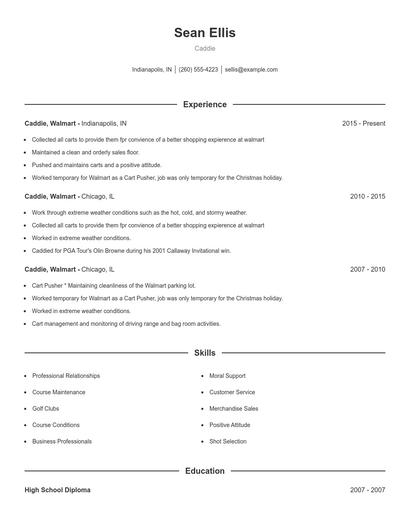 Resume example 1