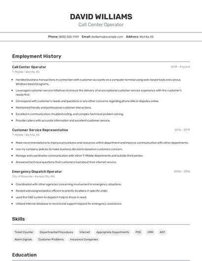 Resume example 2