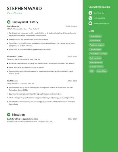 Resume example 4