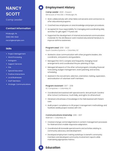 Resume example 5