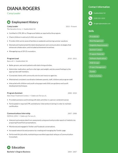 Resume example 4