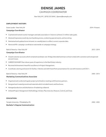 Campaign Coordinator Resume