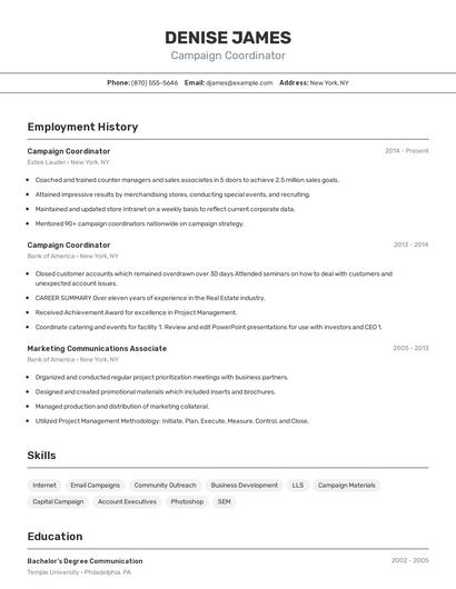 Resume example 2