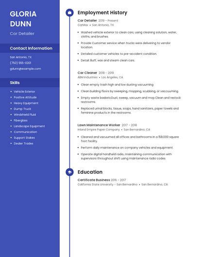 Resume example 5