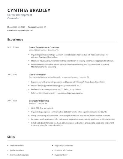 Career Development Counselor Resume