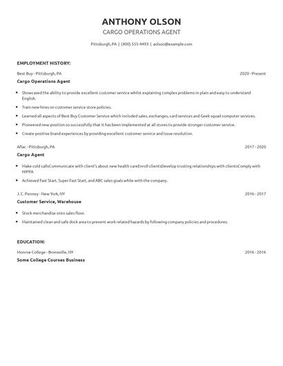 Cargo Operations Agent Resume
