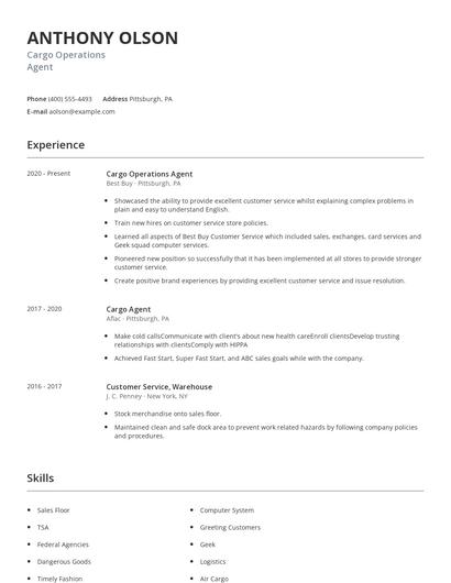 Cargo Operations Agent Resume