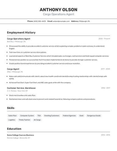 Cargo Operations Agent Resume