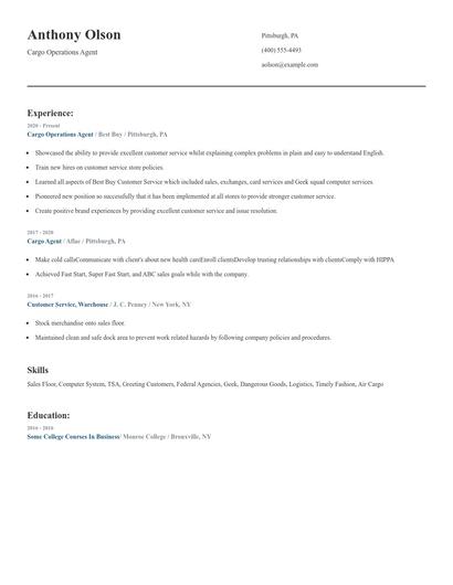 Cargo Operations Agent Resume