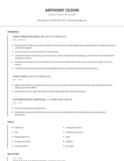Cargo Operations Agent Resume
