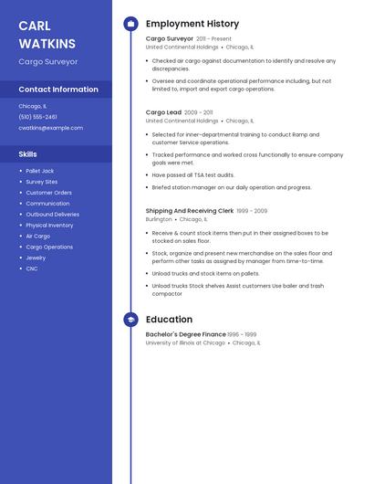 Cargo Surveyor Resume