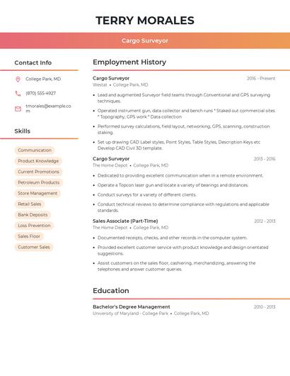 Cargo Surveyor Resume
