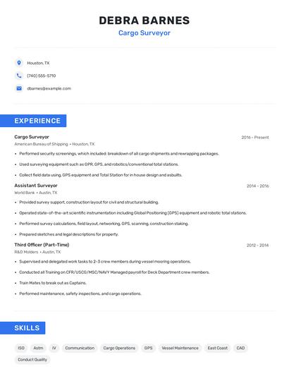 Cargo Surveyor Resume