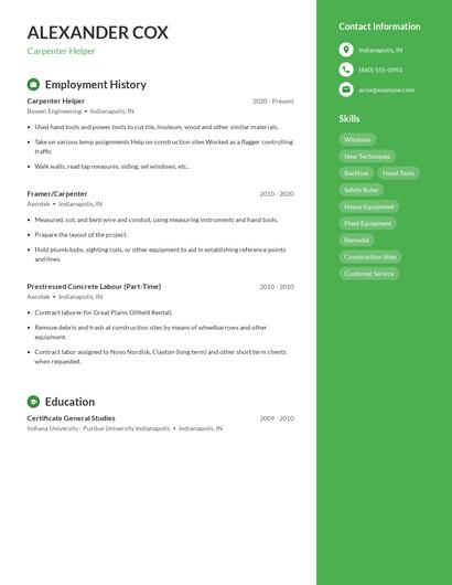 Resume example 4