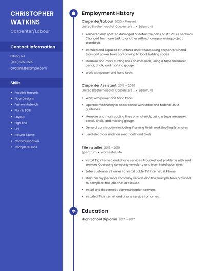 Resume example 5