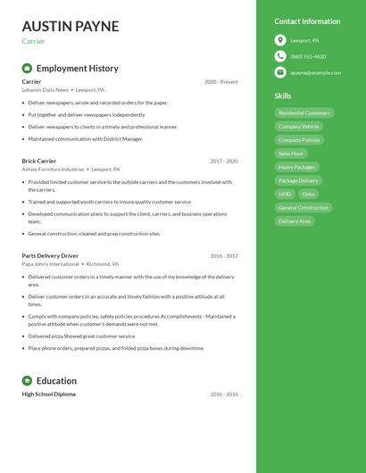Resume example 5