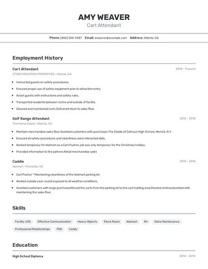 Resume example 2