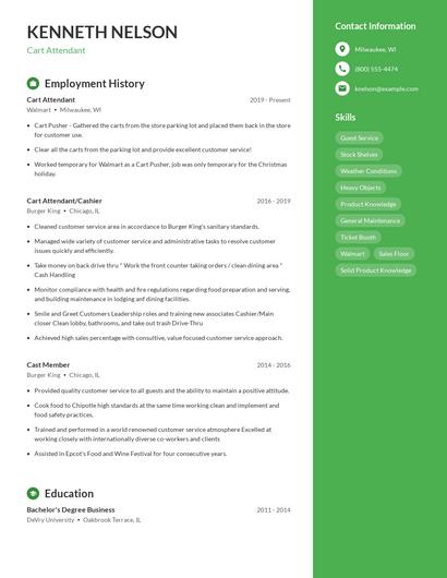 Resume example 4