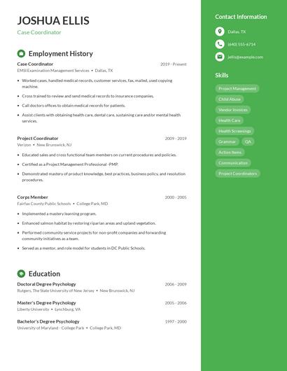 Resume example 5