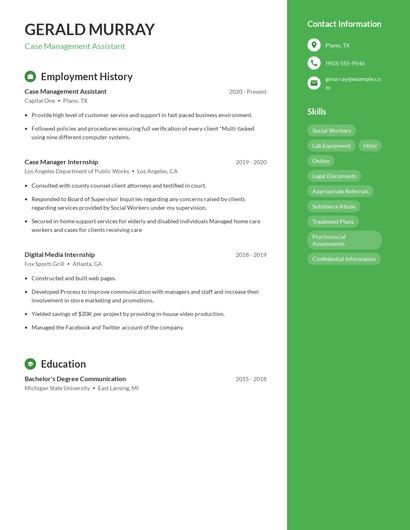 Resume example 5