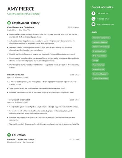 Resume example 5