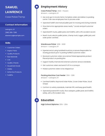 Resume example 4