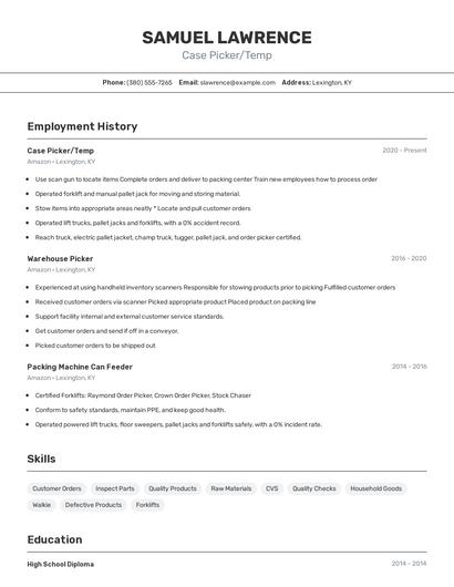 Resume example 2