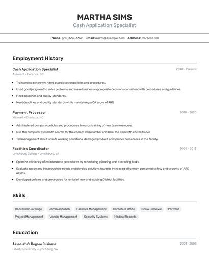 Resume example 2