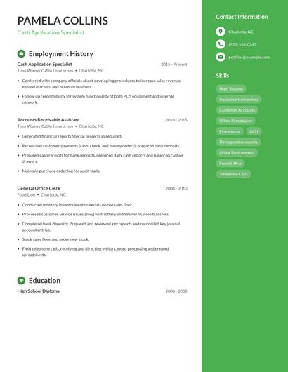 Resume example 5