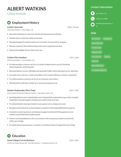 Resume example 4